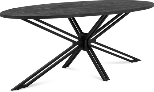 eettafel-ellips-yana-zwart-220-2 eettafel ellips yana zwart 220 2